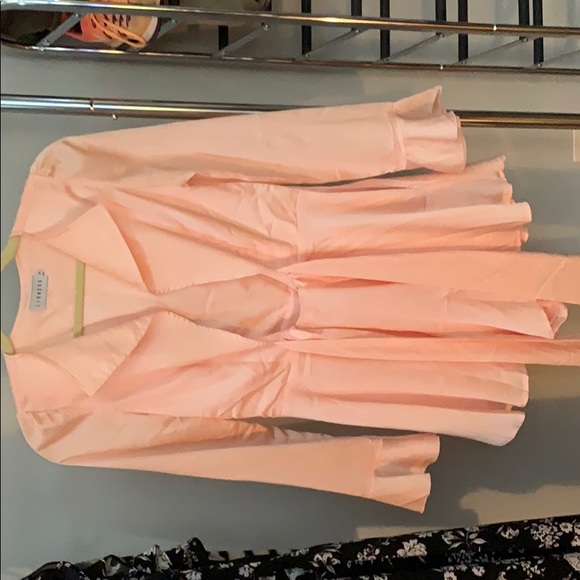 Pink satin Lioness romper - Picture 3 of 5